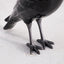     Cerámica-animal-corvo-cuervo-corbeau-laboratoriod_estoria